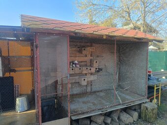 Vonkajšia voliera pre vtáctvo - 2