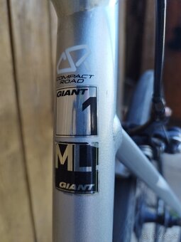 Giant defy - 2