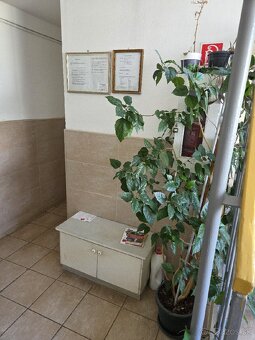 1izb byt Sídlisko nad jazerom - 2