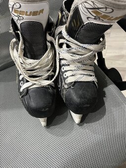 Bauer Vapor X7.0 LE - 2