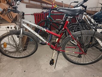 Dámsky bicykel - 2