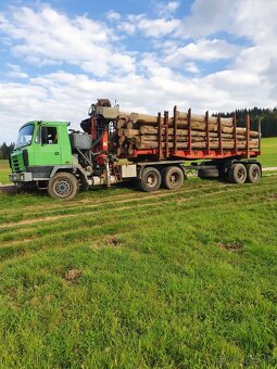 Tatra 815 Terrno lesovoz epsilon - 2