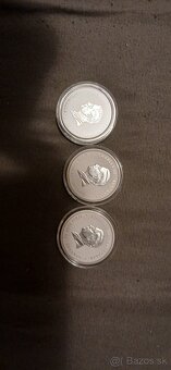 Strieborna investičná minca 1/2 Iz 2025rok hada - 2