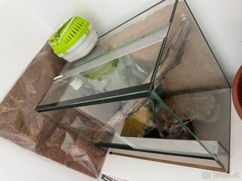 Pytón s celým vybavením - 2