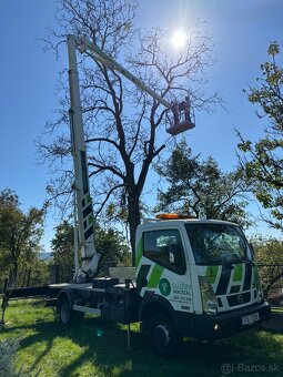 Pílenie stromov, výrub stromov - 2