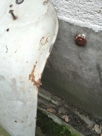 Tatran manet Prsa na repas - 2