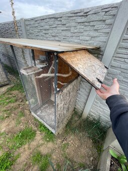 Voliera pre vtáky - 2