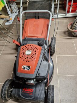 Predam kosacku alco - 2