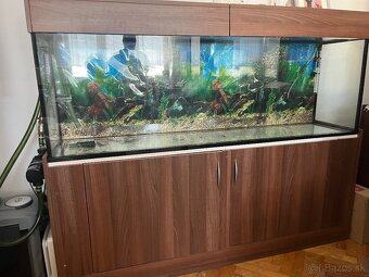 akvarium - 2
