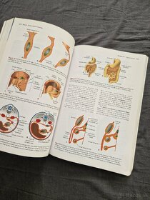 Kniha Medical Embryology - 2