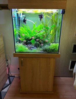 Akvarium 150l - 2