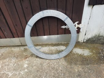 Zemniaca pásovina - 2