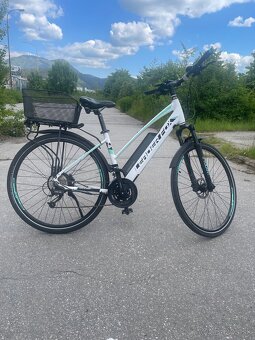 Leader Fox Venosa 28 vel. M - 2