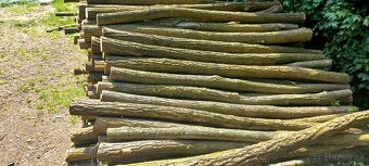 Agatove koly stlpy lacno cerstve - 2