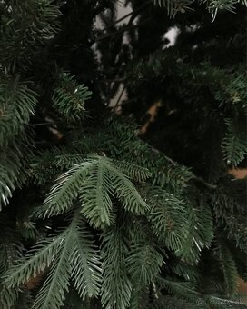 Vianočný stromček - 2