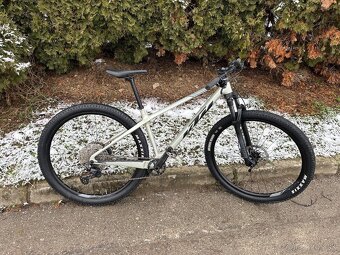 Predam carbon Ktm - 2