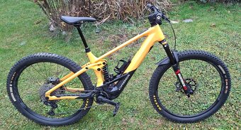 Predam Orbea Wild 2024 L - 2