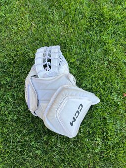 Ccm axis 2.9 intermediate - 2