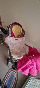 Kočiķ sivoružový - 2