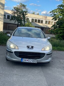 peugeot 407 - 2