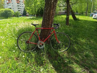 Cestný Bicykel - 2