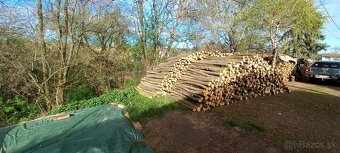 Predam agatove koly stlpy zrde - 2