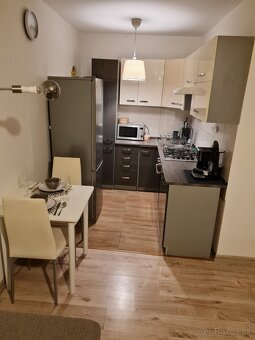 Prenájom 1.5 izbový byt na Terase - 2