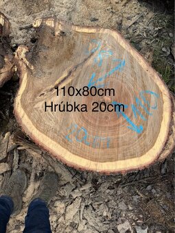 Dubové koláče na konferenčné stoly - 2