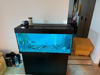 Akvarium juwel rio 180 (2021) - 2