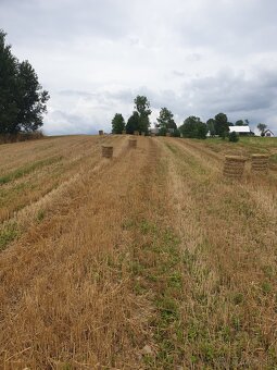 Slama malé okrúhle balíky - 2