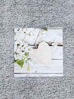 Dva biele obrazy - 2