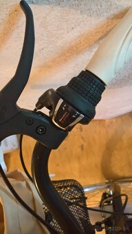 Mestský bicykel - 2