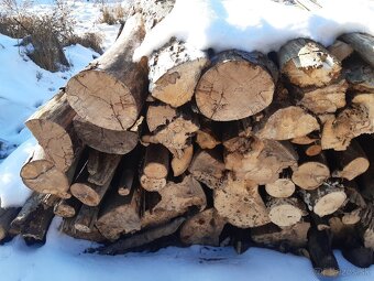 Palivové drevo - 2