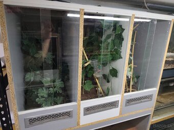 Terárium - 2