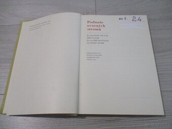 Podnože ovocných stromu - 2