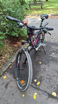 Damsky horsky bicykel - 2