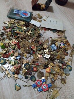 Odznaky rôzne.Odznaky pichlace - 2