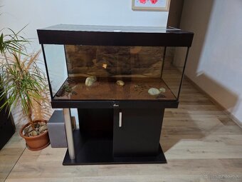 Akvárium Diversa 250 l - 2