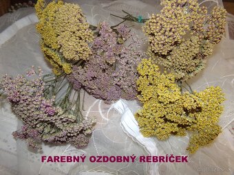 SUŠENÉ KVETY NA ĎALŠIU TVORBU - 2