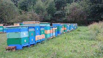 Domáci včelí med - 2