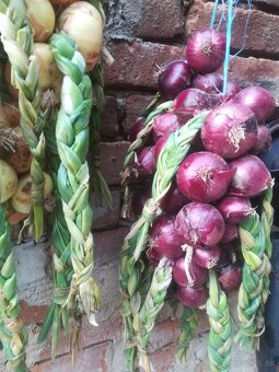 Darujem kvalitný viacročný hnoj - 2