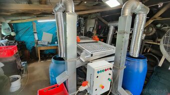 Stroj na lúskanie vlašských orechov so separátorom - 2