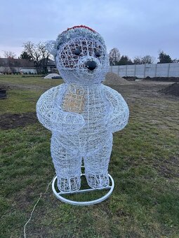 Osvetleny medved - 2