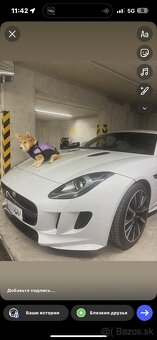 Predáva sa šteniatko corgi — fenka, 5 mesiacov - 2