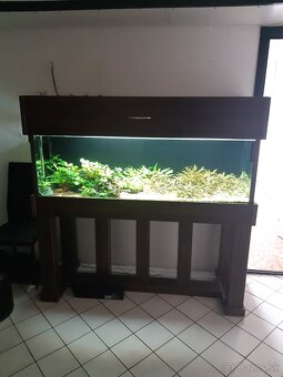 Akvarium 375 litrov - 2