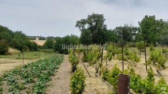 Rodinný dom s veľkým pozemkom - 2