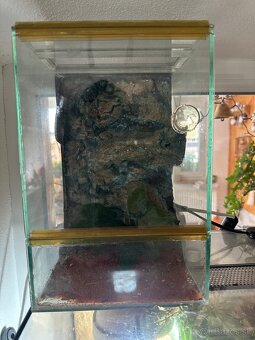 Predám terarium - 2