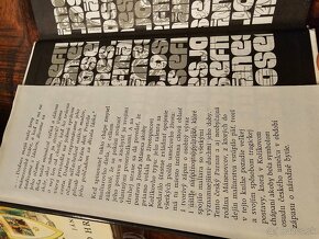 Kožík - Josef Manes - 2