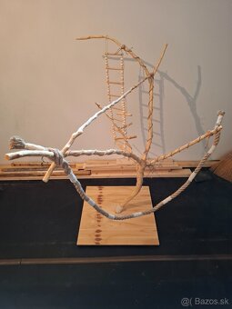 Strom pre papagáje - 2