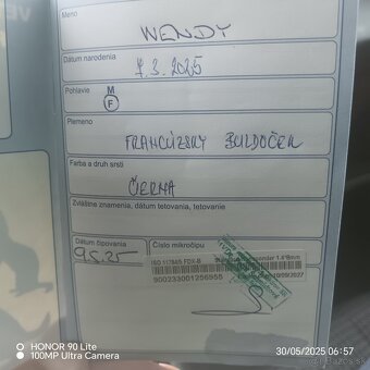 Predáme šteniatko - 2